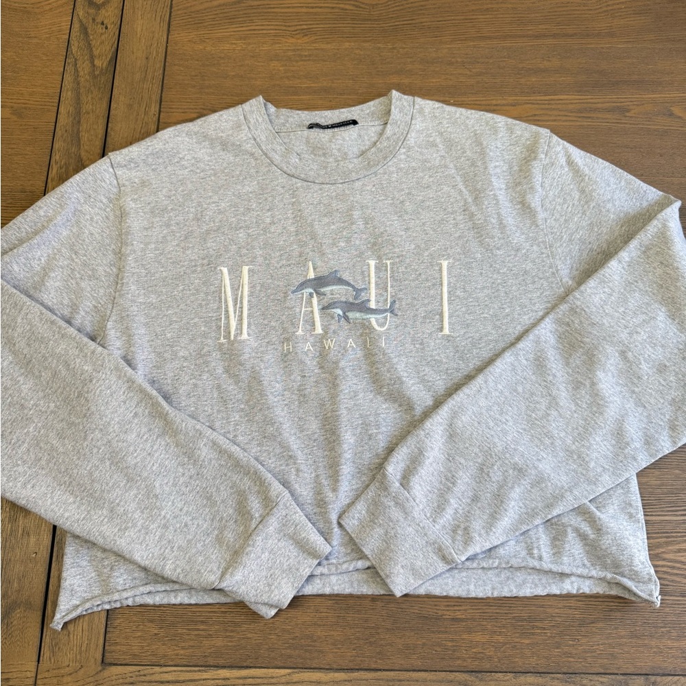 Brandy Melville Light Gray Maui Crewneck Sweater